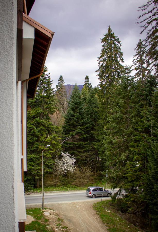 Borovets Gardens Studio Εξωτερικό φωτογραφία