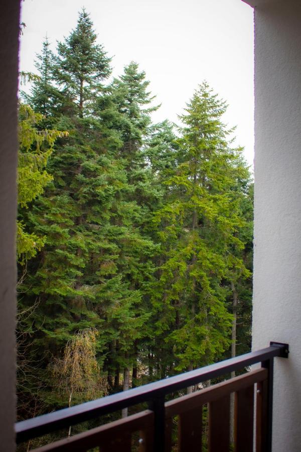 Borovets Gardens Studio Εξωτερικό φωτογραφία